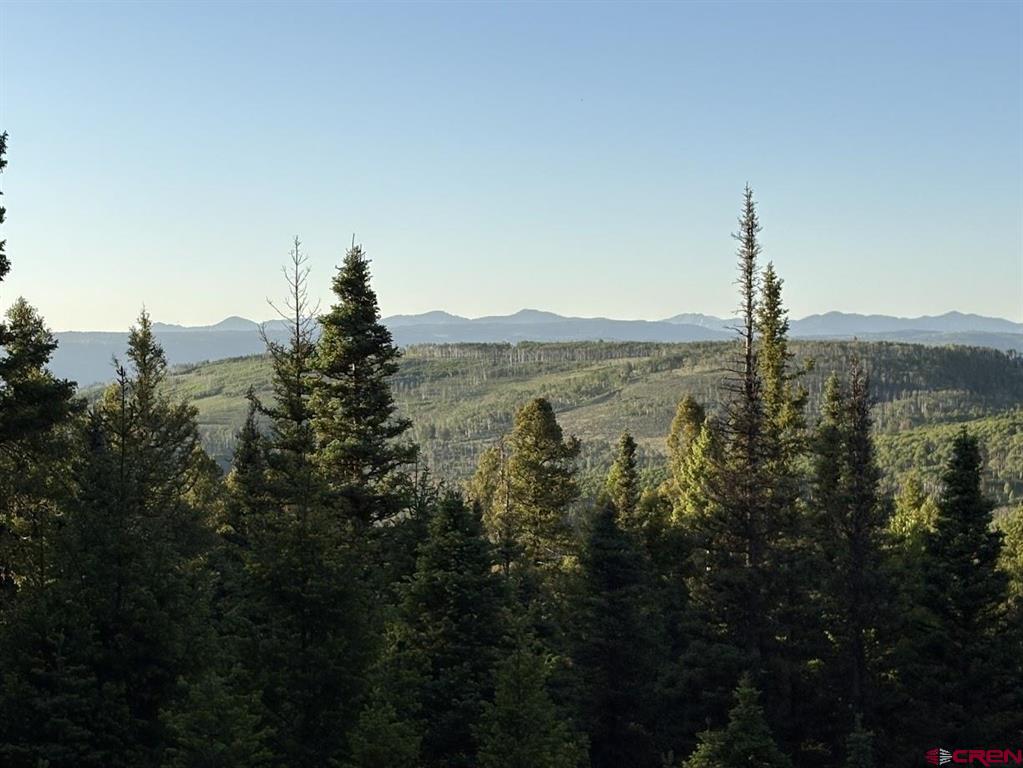 224 Crest Drive