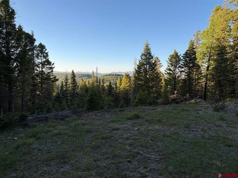 Photo of 224 Crest Drive, Cimarron, CO 81220 (MLS # 834302)