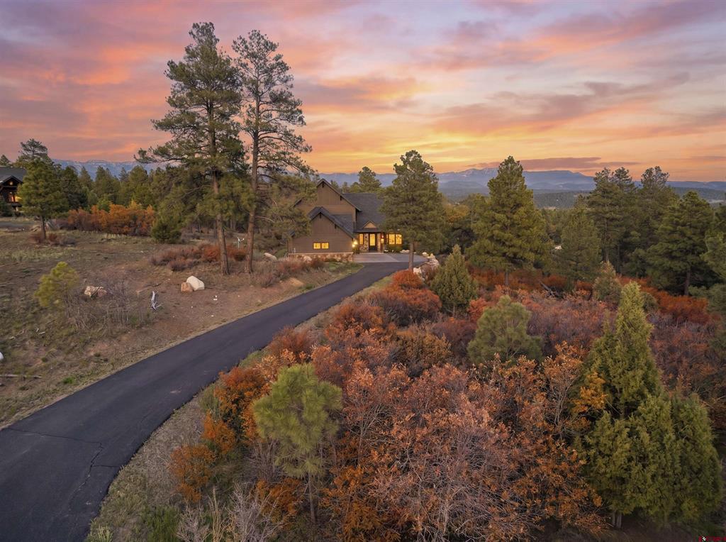 1325 Cool Pines Drive