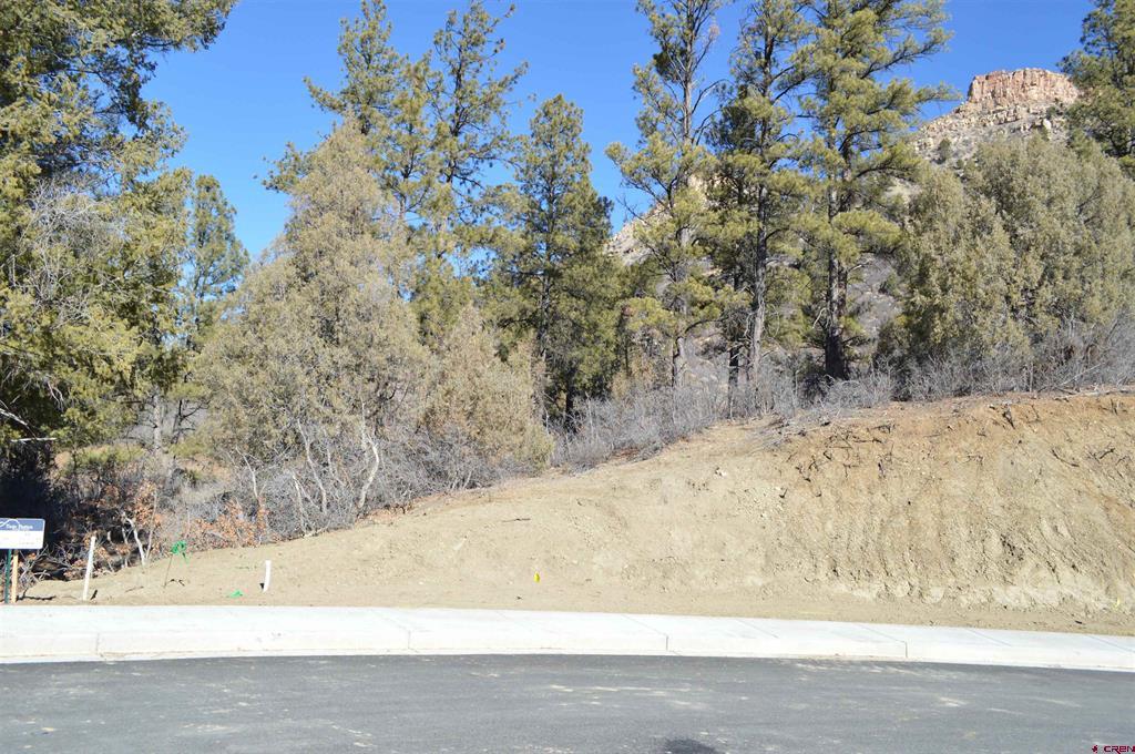 64 Snowdrop Ct. (Lot 138)