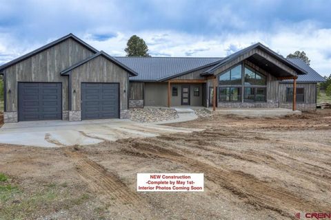 Photo of 39 Birch Bay Court, Pagosa Springs, CO 81147 (MLS # 833365)