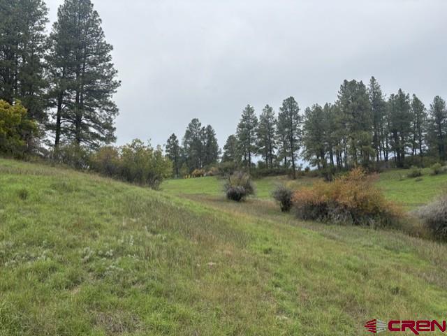 182 and 188 Little Bear Drive