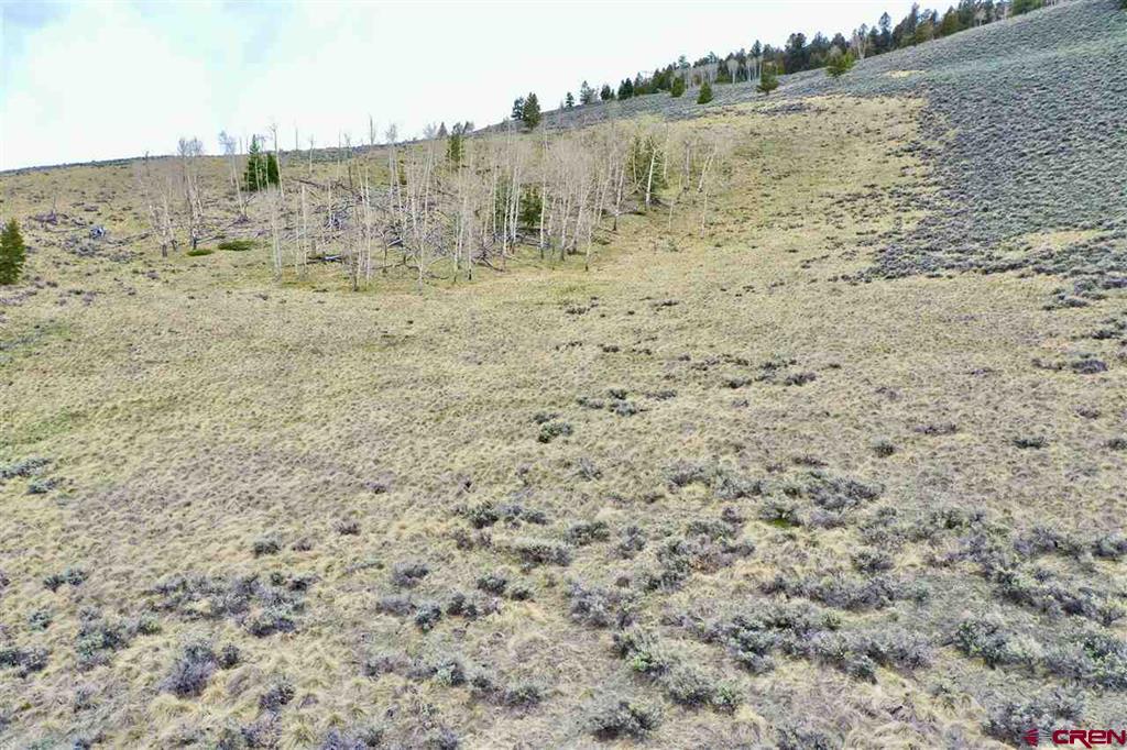 297 & 358 Uncompahgre Drive