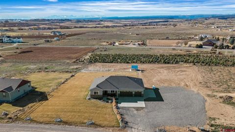 Photo of 55664 Fuchsia Lane, Olathe, CO 81425 (MLS # 832601)