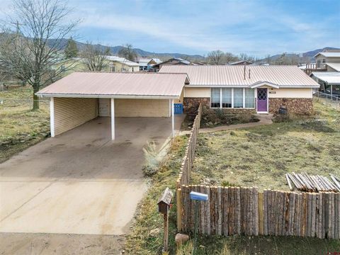 891 Bauer Avenue Mancos CO 81328