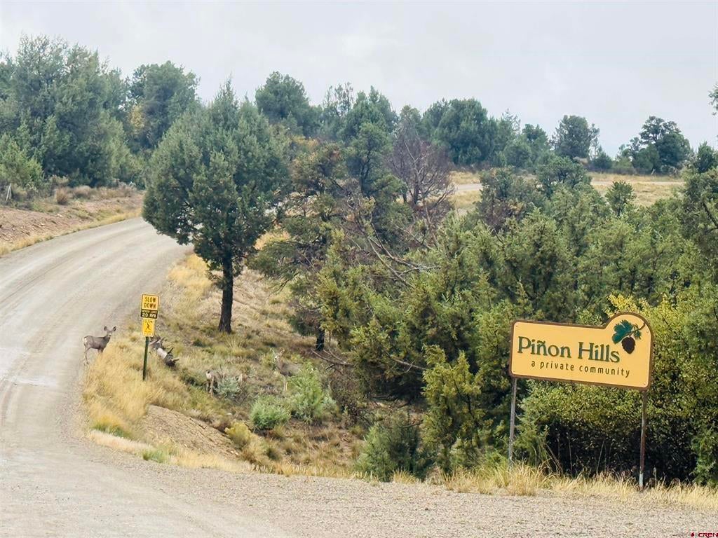 24832 Road V.5