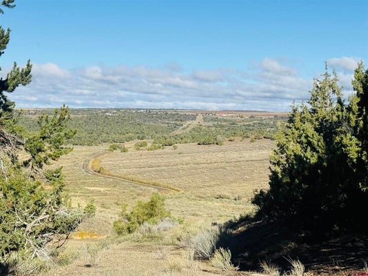 24832 ROAD V.5, DOLORES, CO 81323 - Image 71c5644eb21fe120cc2fcdd22ad577b2/4175835442