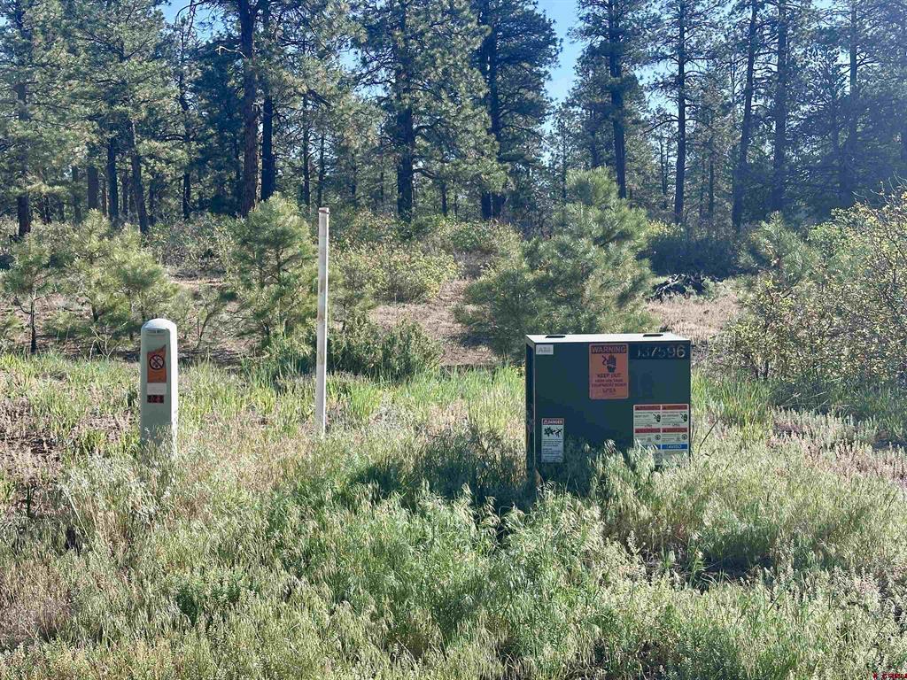 782 Hawks Meadow Drive