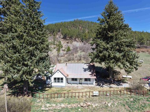 10643 CR 501 Bayfield CO 81122