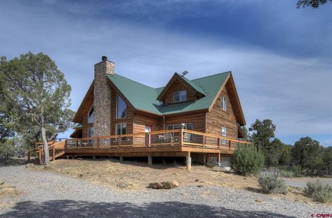 20 Rodeo Drive Ignacio CO 81137