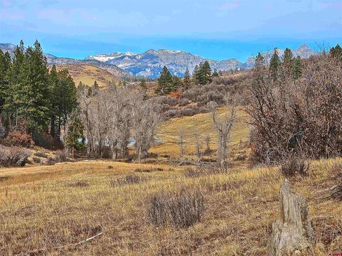 TBD County Road 382 Pagosa Springs CO 81128