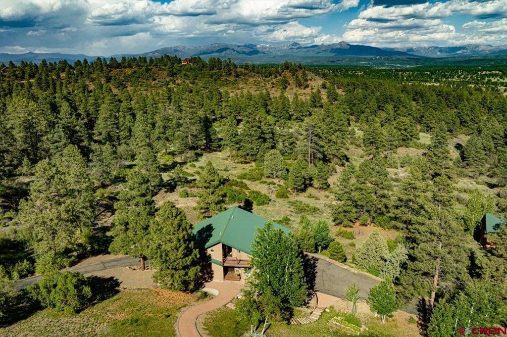 1211 Cool Pines Drive