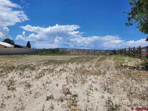 Photo of 1545 Windsor Way, Montrose, CO 81401 (MLS # 833162)