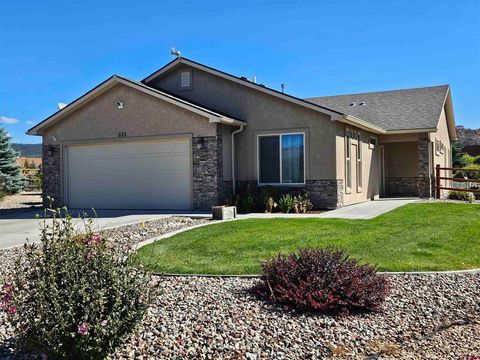 Photo of 335 SE Cobblestone Court, Cedaredge, CO 81413 (MLS # 832481)