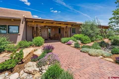 6445 County Road 100 Hesperus CO 81326