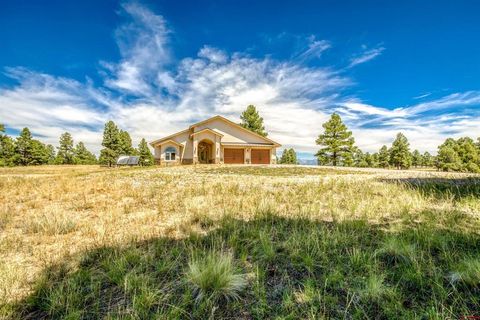 167 Colorado Place Pagosa Springs CO 81147