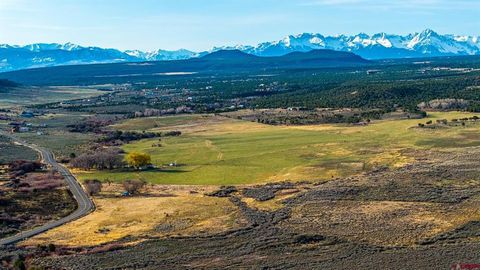 22465 Horsefly Road Montrose CO 81401