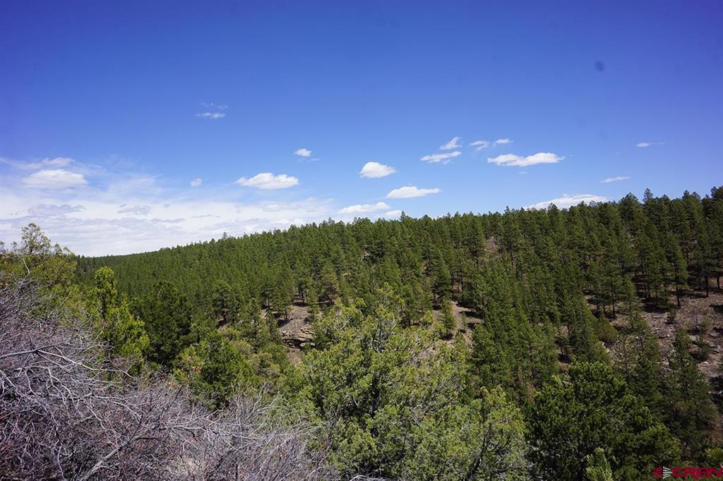 Photo 1 of 6 — 3 TBD Road 36.5, Mancos, CO 81328