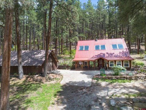 265 Pine Valley Road Bayfield CO 81122