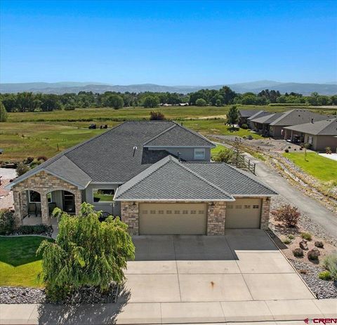 Photo of 4041 Grand Mesa Drive, Montrose, CO 81403 (MLS # 832430)