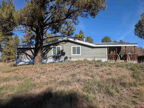 472 Haystack Circle Pagosa Springs CO 81147