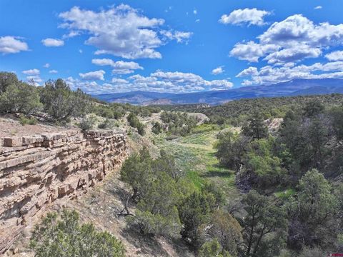 Photo of 4 CR 1, Montrose, CO 81403 (MLS # 824320)