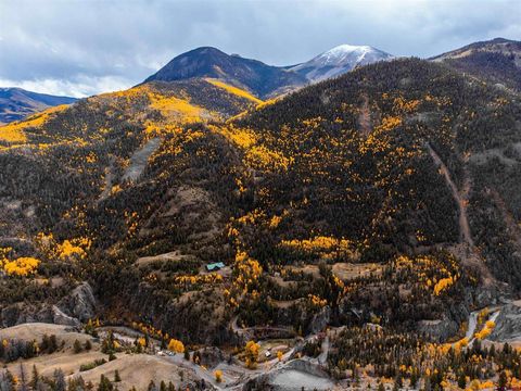 11005300 HIGH MTN Lake City CO 81235