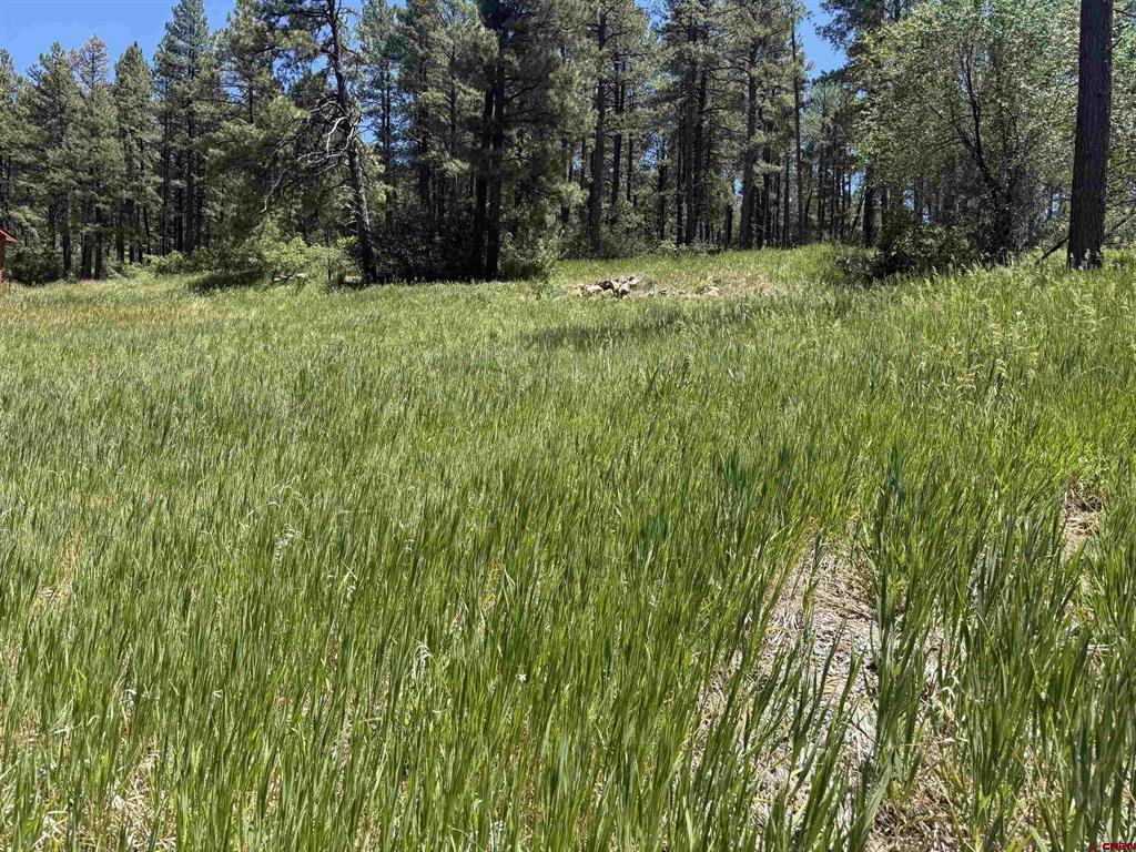 Photo 1 of 4 — 473 Alpine Forest Drive, Bayfield, CO 81122