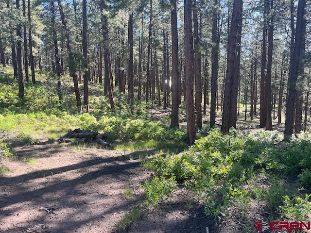 2221 Bear Creek Road