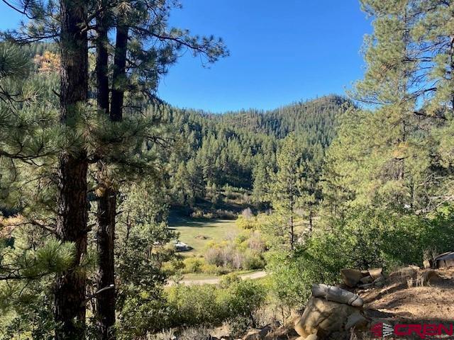 2221 Bear Creek Road