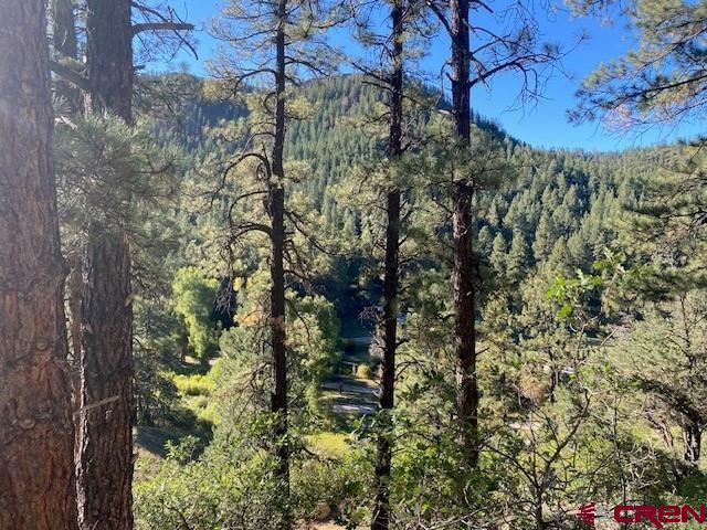 2221 Bear Creek Road