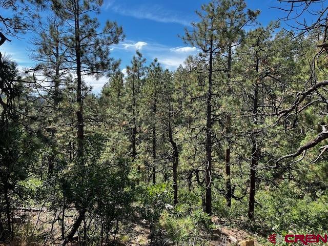 2221 Bear Creek Road