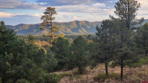1680 Ridge Road Durango CO 81303