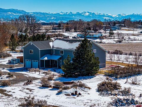 Photo of 12689 6100 Road, Montrose, CO 81403 (MLS # 831853)