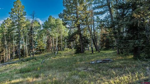 170 Crest Drive Cimarron CO 81220