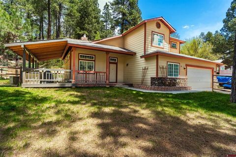 10 Snowbird Court Bayfield CO 81122