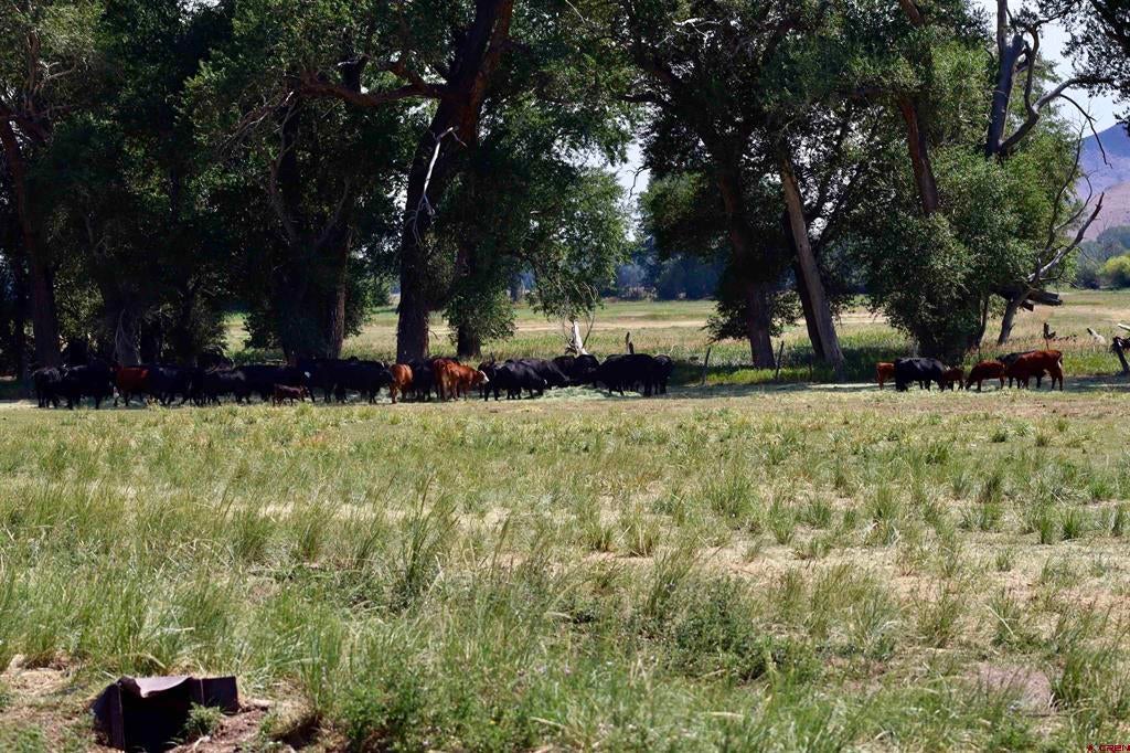 tbd Co Rd 14 A