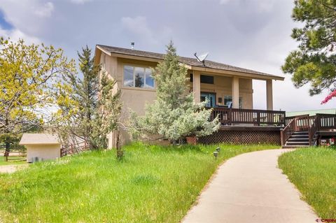 89 Beaver Circle Pagosa Springs CO 81147