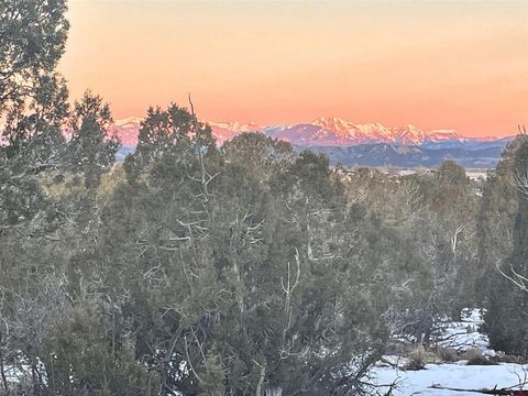 232 Rawhide Road Durango CO 81303