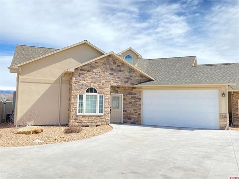 2822 Stoney Creek Lane Montrose CO 81401