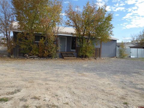 9897 & 9893 Horseshoe Lane Austin CO 81410