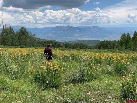 Photo of 34681 Forest Road 128.G, Hotchkiss, CO 81419 (MLS # 834325)
