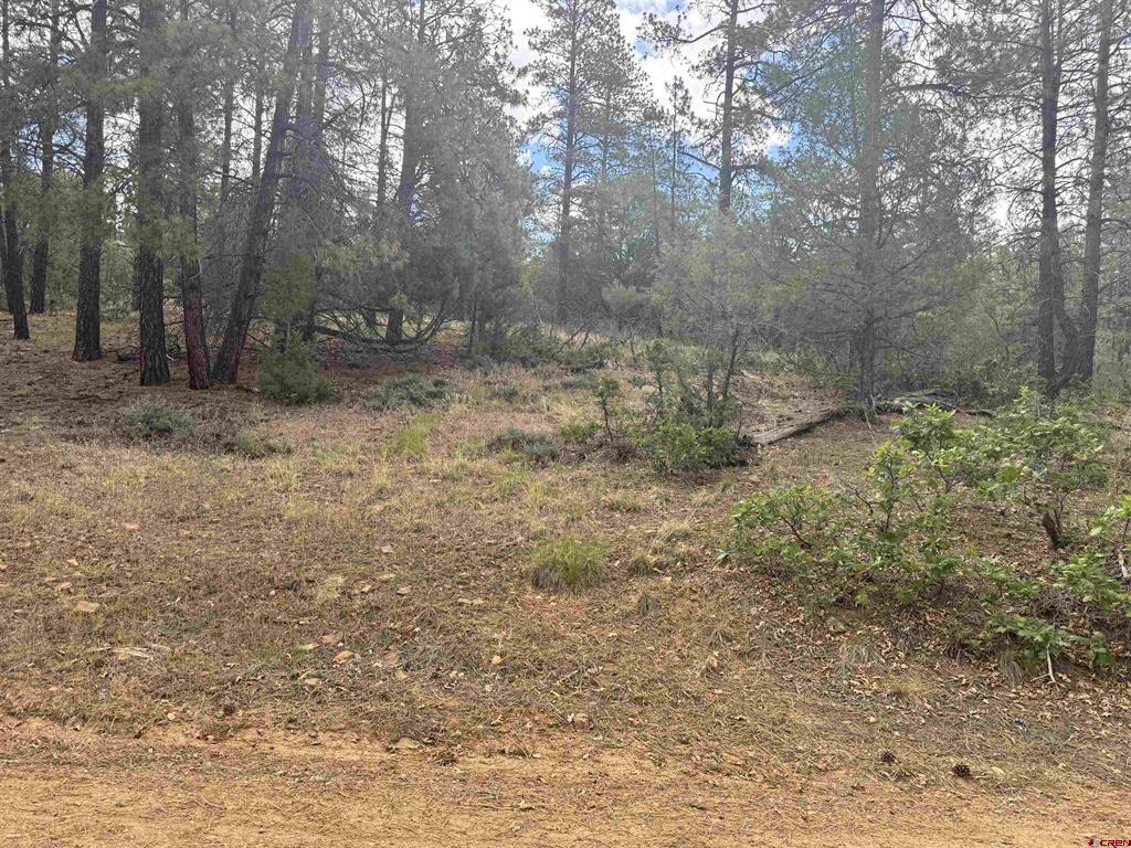 Photo 1 of 29 — 1259 Westview Road, Pagosa Springs, CO 81147
