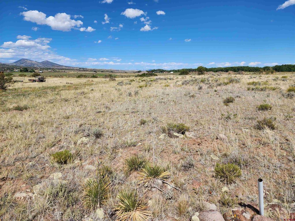 Photo 1 of 10 — 197 PINK CLOUD RD, South Fork, CO 81154