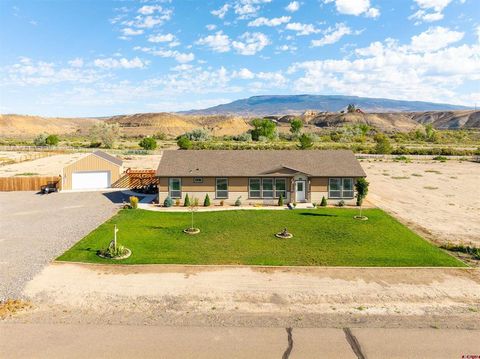 Photo of 1241 Buckskin Street, Delta, CO 81416 (MLS # 831456)