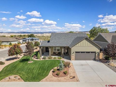 Photo of 3701 Scarlet Court, Montrose, CO 81401 (MLS # 833792)