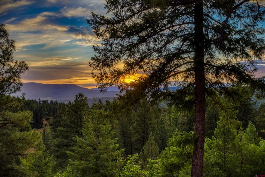 316 Loma Vista Court