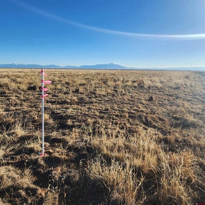 TBD COUNTY ROAD BB, LA JARA, CO 81140 - Image 76f4a4833d7cebd4da3c0bdc3a8a943b/2536347857