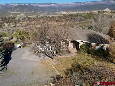 Photo of 16609 Columbine Lane, Cedaredge, CO 81413 (MLS # 832125)