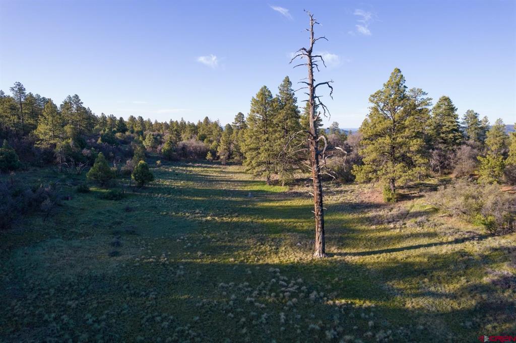 592 Ranchland Drive